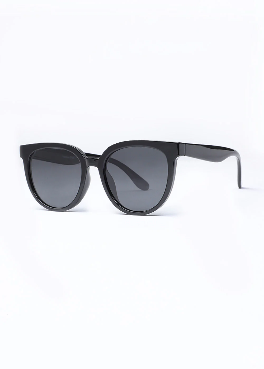 Ebony Black Unisex Oval Sunglasses - Image 6